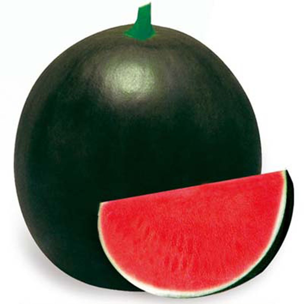 Seedless Watermelon
