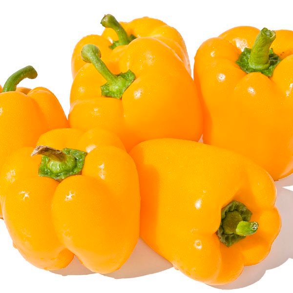 Hot Pepper