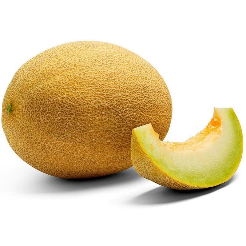 Melon