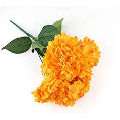 Flowers F - L