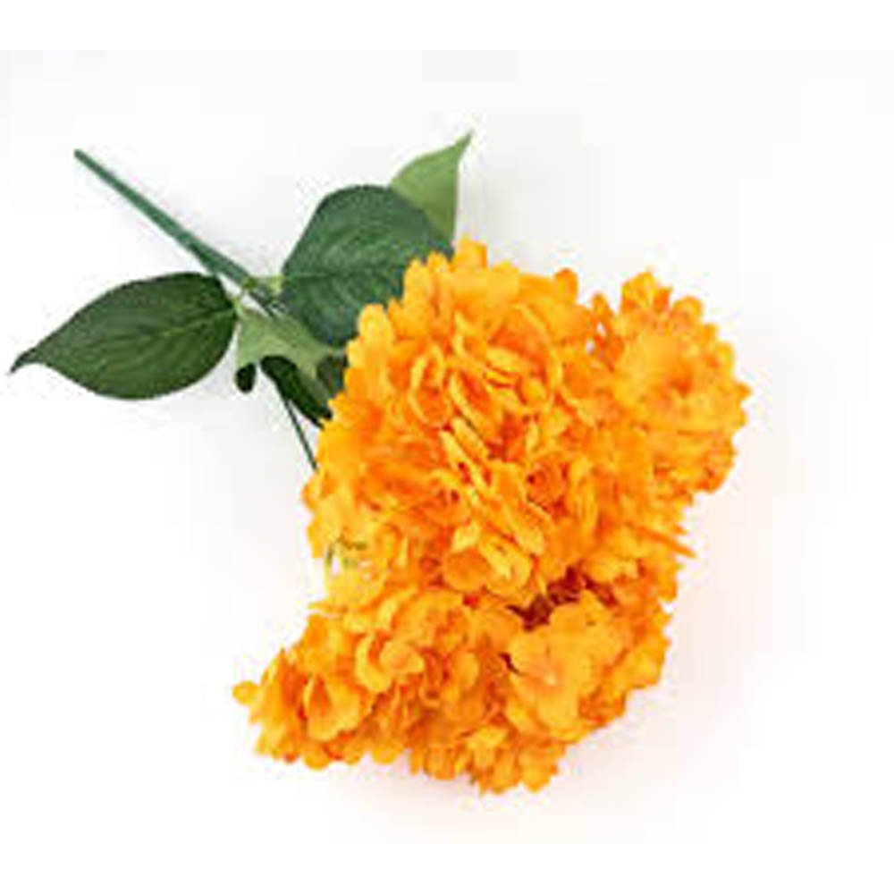 Flowers F - L
