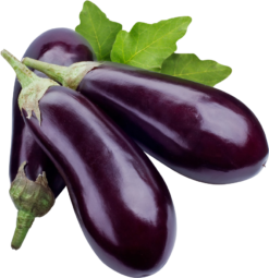 Aubergine