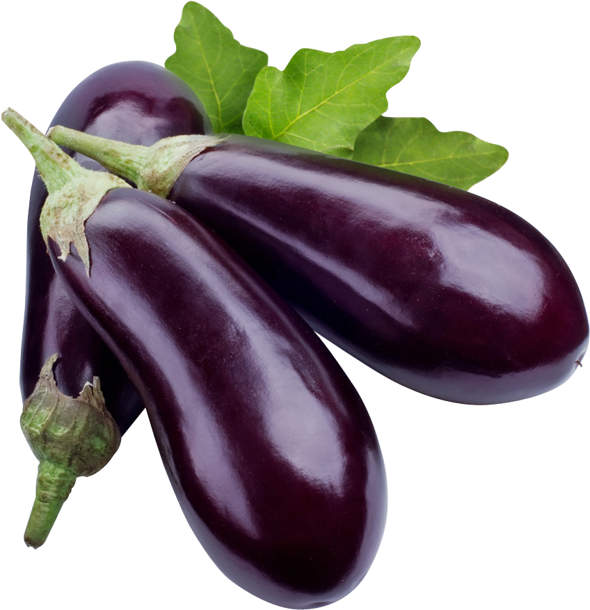 Eggplant