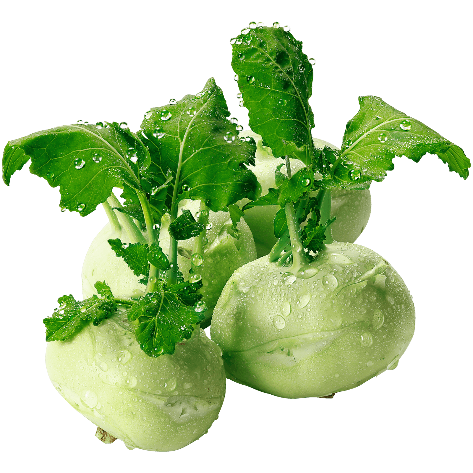 Kohlrabi